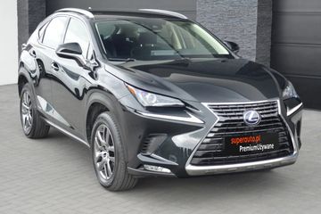 Lexus NX 300h