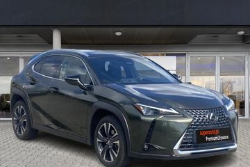 Lexus UX 300h Business