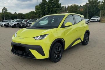 BYD Dolphin Surf Boost