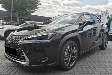 Lexus UX 300h Business 2.0 Hybrid Dynamic Force