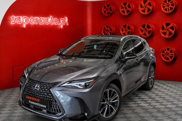 Lexus UX 300h AWD