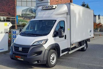 Fiat Ducato Maxi Kontener Chłodnia 8EP