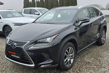 Lexus NX 300h Elegance Optimum AWD