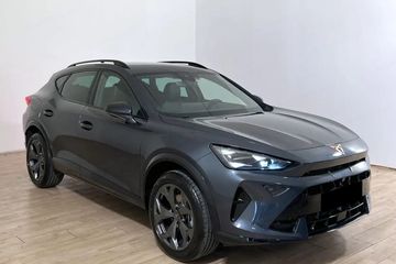 Cupra Formentor 2.0 TSI 4Drive DSG