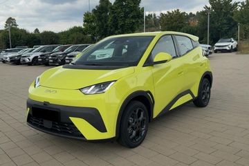 BYD Dolphin Surf Boost