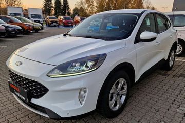 Ford Kuga 1.5 EcoBlue FWD Titanium