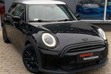 Mini Mini Standard
