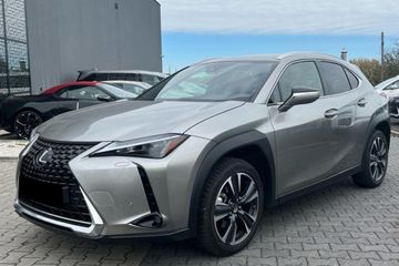 Lexus UX 300h Business 2.0 Hybrid Dynamic Force