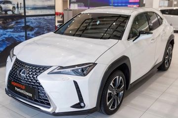 Lexus UX 300h Business