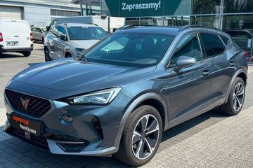 Cupra Formentor 2.0 TSI 4Drive DSG