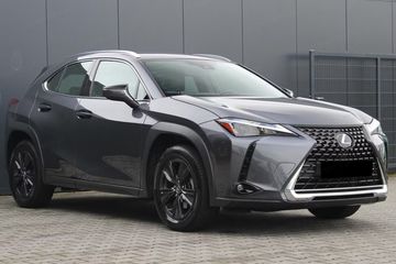 Lexus UX 300h Business