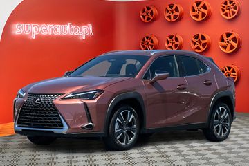 Lexus UX 300h Business