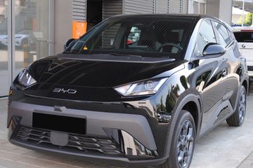 BYD Dolphin Surf Boost