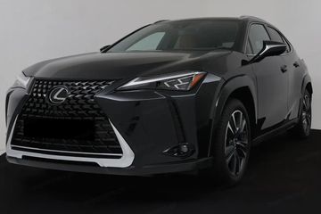 Lexus UX 300h Business 2.0 Hybrid Dynamic Force