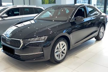 Skoda Octavia Selection 2.0 TSI 4x4 DSG
