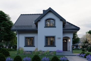  Projekt domu APS 039 (LUA1038) - projekt domu parterowego z poddaszem - Zdjęcie 3