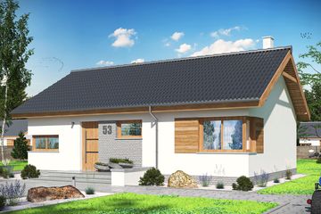  Projekt domu Leda (WOE1027) - projekt domu parterowego - Zdjęcie 1