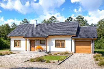  Projekt domu Talent paliwo stałe (WOE1069) - projekt domu parterowego - Zdjęcie 1