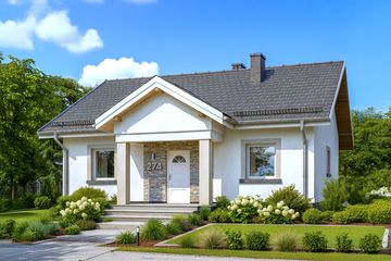  Projekt domu APS 244 (LUA1301) - projekt domu parterowego - Zdjęcie 1