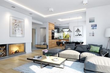  Projekt domu na miarę 2 (WAH1679) - projekt domu parterowego - Zdjęcie 5