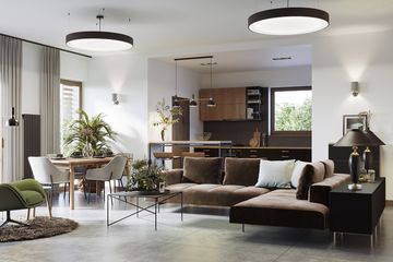  Projekt domu E-250 (WAX1159) - projekt domu parterowego - Zdjęcie 3