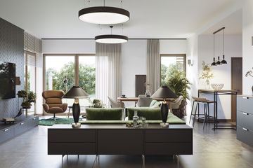  Projekt domu E-252 (WAX1162) - projekt domu parterowego - Zdjęcie 4