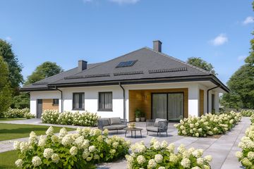  Projekt domu APS 217 + 2G NEW (LUA1456) - projekt domu parterowego - Zdjęcie 2