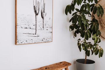  Projekt domu Temida (BSA2293) - projekt domu parterowego - Zdjęcie 14