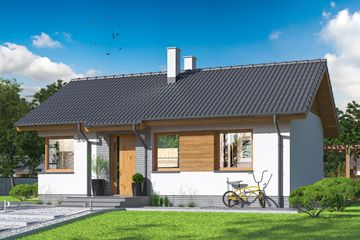  Projekt domu Tiara mini (WOE1165) - projekt domu parterowego - Zdjęcie 1