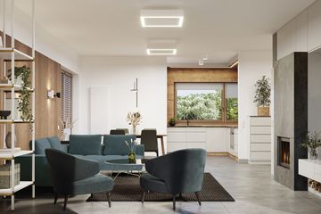  Projekt domu E-272 (WAX1191) - projekt domu parterowego - Zdjęcie 4