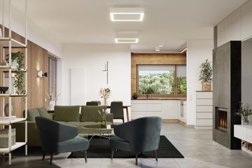  Projekt domu E-273a (WAX1223) - projekt domu parterowego z poddaszem - Zdjęcie 3