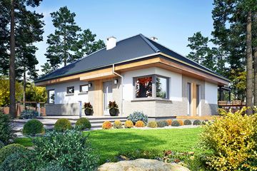  Projekt domu Lusia II bez garażu [B] (WRF2463) - projekt domu parterowego - Zdjęcie 2