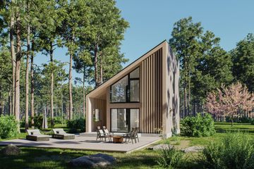 Projekt domu D433 - wersja drewniana - parterowy z poddaszem dom o powierzchni 80,55 m², dach jednospadowy - ujęcie 2