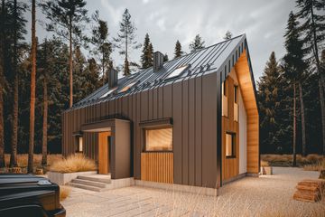  Projekt domu Drops Alfa Bobo (1966) (KRD3101) - projekt domu parterowego z poddaszem - Zdjęcie 3