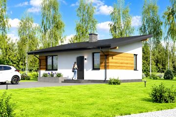 Projekt domu letniskowego Planujdom 037 ABP1101 - parterowy dom o powierzchni 40,01 m², dach jednospadowy - ujęcie 3