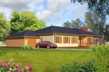  Projekt domu 201 drewniany (WAN1007) - projekt domu parterowego - Zdjęcie 1