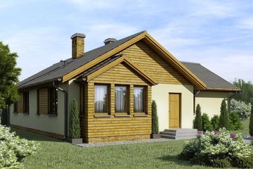  Projekt domu D17 - Michał (WAI1033) - projekt domu parterowego - Zdjęcie 2