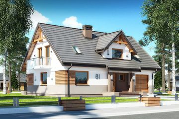  Projekt domu Dżin N (BSB1109) - projekt domu parterowego z poddaszem - Zdjęcie 1