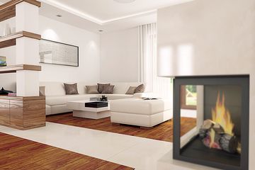  Projekt domu Ibis (BSA2009) - projekt domu parterowego z poddaszem - Zdjęcie 4