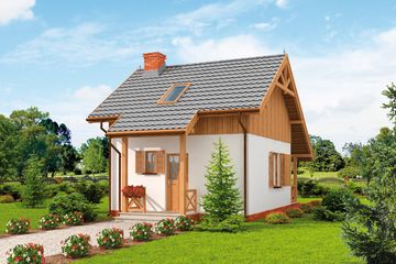  Projekt domu letniskowego Luizjana szkielet drewniany dom letniskowy z poddaszem (SLN2533) - projekt domu letniskowego parterowego - Zdjęcie 1