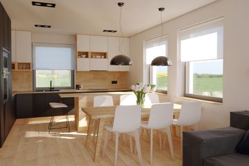  Projekt domu N10-G1 (KKG1004) - projekt domu parterowego - Zdjęcie 5