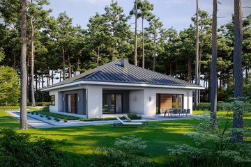  Projekt domu Naturalny D60 (WWB1065) - projekt domu parterowego - Zdjęcie 3