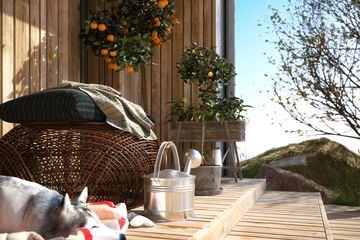  Projekt domu Malutki 4 (BSA2245) - projekt domu parterowego z poddaszem - Zdjęcie 6