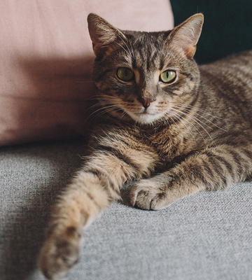 Źródło: Filip Blank