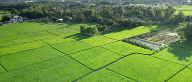 Kupno działki pod budowę domu
