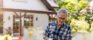 Jak wykonać wiosenne porządki w ogrodzie?