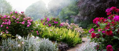 Jak stworzyć ogród w stylu angielskim?