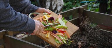 Jak zrobić domowy kompostownik na kilka sposobów?