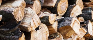 Jak sezonować drewno opałowe? Ile musi schnąć drewno do kominka?