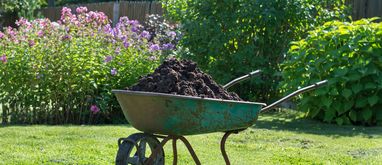 Rekultywacja trawnika